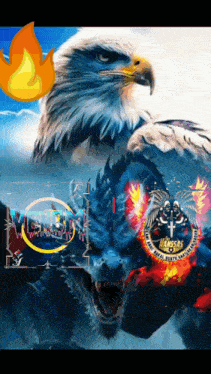a painting of an eagle and a wolf with flames and the word hamsas on it
