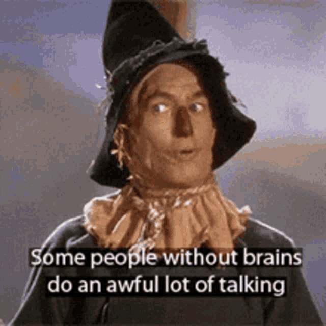 a scarecrow from the wizard of oz says `` some people without brains do an awful lot of talking '' .