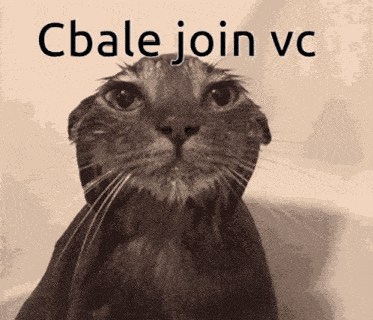 a black and white photo of a cat with the words cbale join vc below it