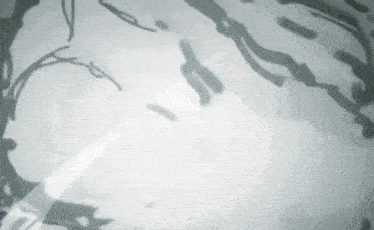 a shadow of a person is cast on a white surface .