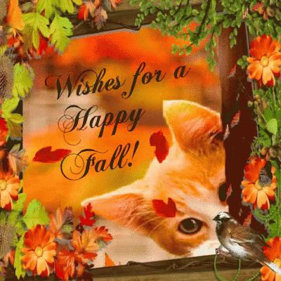 Happy Fall Happy October GIF - Happy Fall Happy October Kitten GIFs