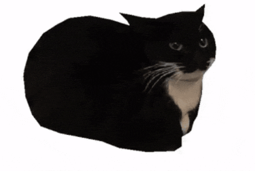 a black and white cat is laying down and looking at the camera
