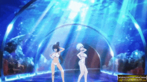 two anime girls in bikinis are dancing in front of an aquarium with the words sennen kagura extreme versus on the bottom