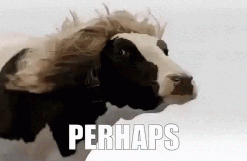 Perhaps Perhaps Cow GIF - Perhaps Perhaps Cow Cow GIFs