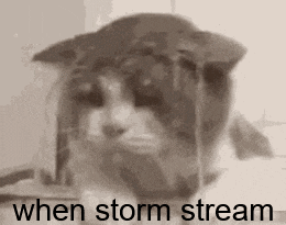 a black and white photo of a cat wearing a hat with the words `` when storm stream '' written on it .