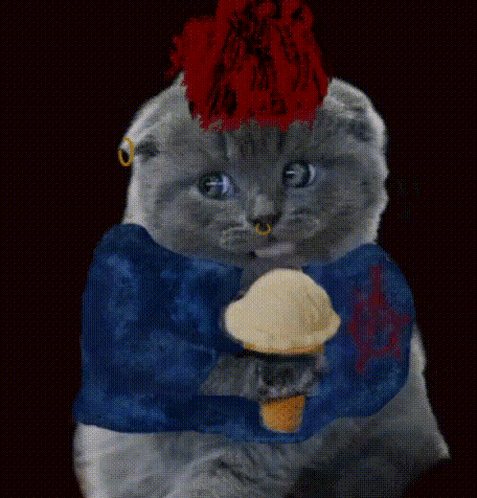 Cat Ice Cream GIF - Cat Ice Cream Punk GIFs