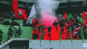 a crowd of people standing in a stadium with red and green flags