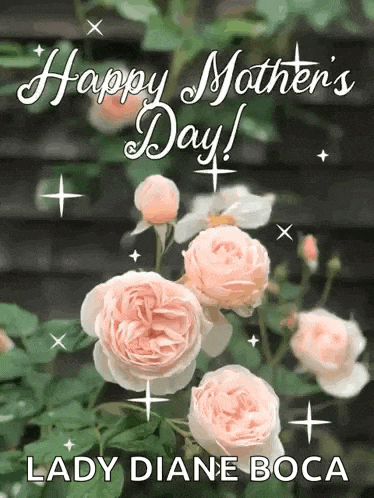 a greeting card for mother 's day with pink roses and the name lady diane boca