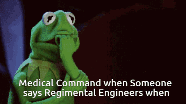 kermit the frog is thinking with the words medical command when someone says regimental engineers when below him