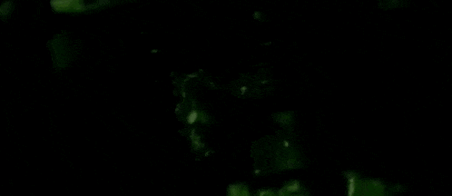 a close up of a man 's face covered in green paint .