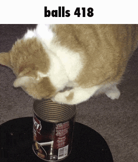 a cat is eating out of a can that says balls 418 on it