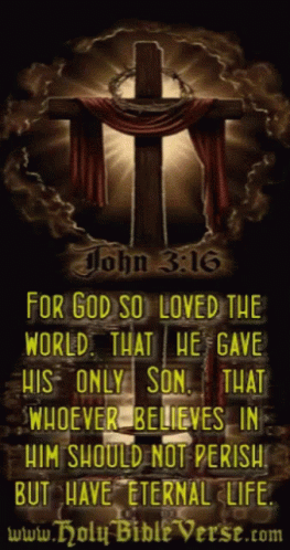 Bible Verse John316 GIF - Bible Verse John316 Crucifix GIFs