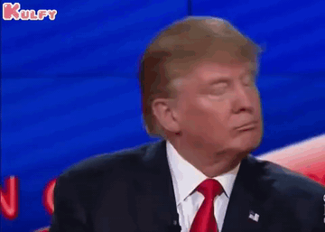 Thank You For The Memes!.Gif GIF - Thank You For The Memes! Donald Trumb No Care GIFs