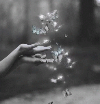 Magic Butterflies GIF