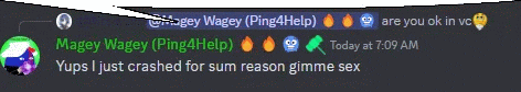 a screenshot of a discord conversation between magey waggy and yups i just crashed for sum reason gimme sex