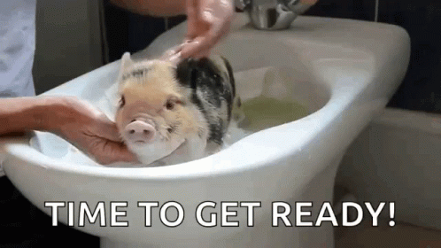 Pigs Bath GIF - Pigs Bath Wash GIFs