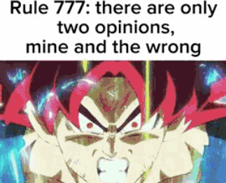 Rule Goku GIF - Rule Goku Opinion GIFs
