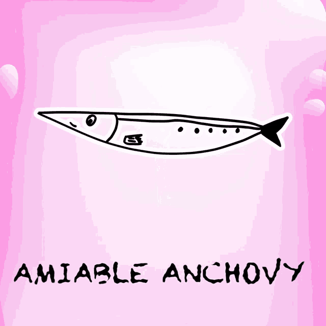 a drawing of a fish with the words amiable anchovy written below it