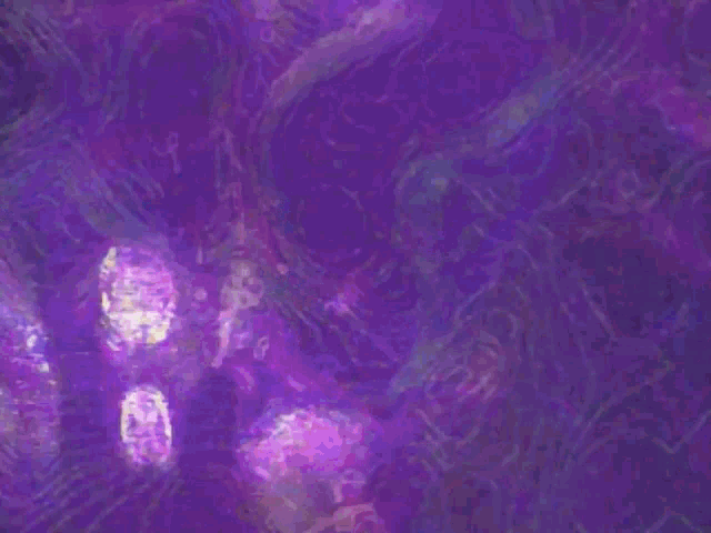 a person is standing in front of a purple background with a lot of purple lights .