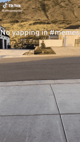 a screenshot of a tiktok video that says no yapping in memes