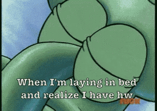 a cartoon of a turtle with the words when i 'm laying in bed and realize i have hw written on it