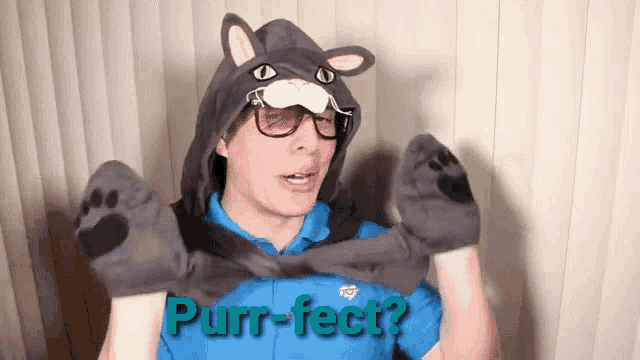 a man wearing a cat hat and paw gloves says purrfect