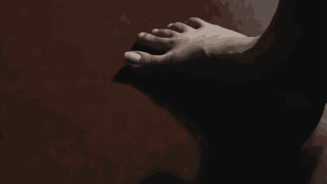 a shadow of a person 's foot on a brown surface