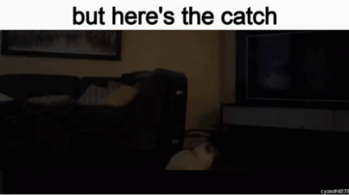 But Heres The Catch GIF - But Heres The Catch But Heres The GIFs