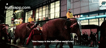 a couple of elephants are walking down a street at night