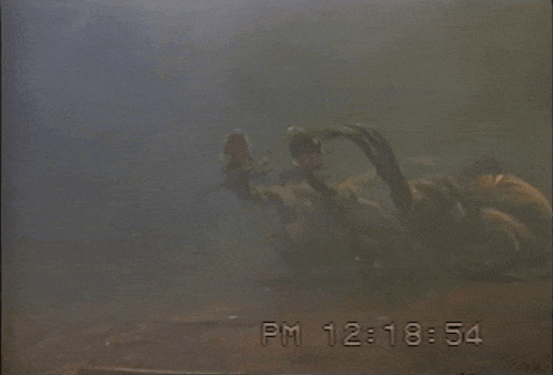 a group of people are fighting in a dark room and the time reads pm 12:19:58