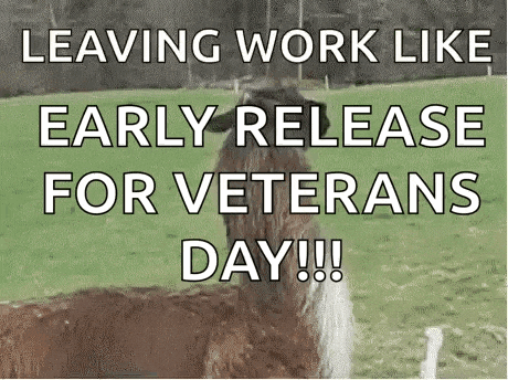 a llama is standing in a grassy field with the words `` leaving work like early release for veterans day ! ''