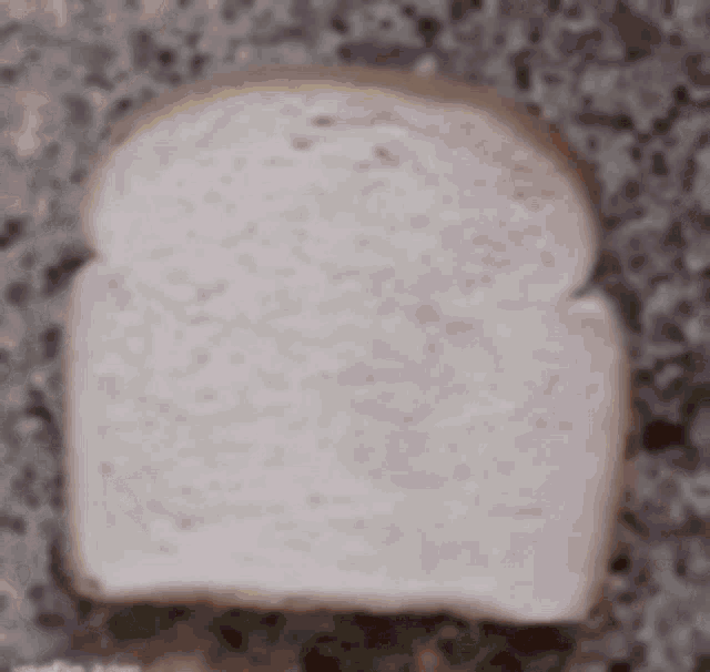 a slice of white bread next to a rainbow colored flag