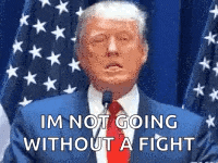 a man in a suit and tie is giving a speech in front of an american flag .