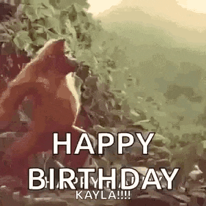 a happy birthday greeting card with a picture of a monkey and the words `` happy birthday kayla '' .