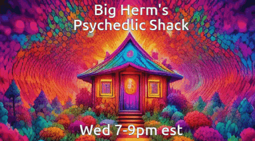 a poster for big herm 's psychedelic shack shows a colorful house