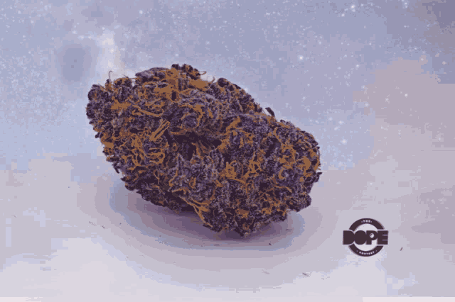 The Dope Content Cannabis GIF - The Dope Content Cannabis Dope Content GIFs