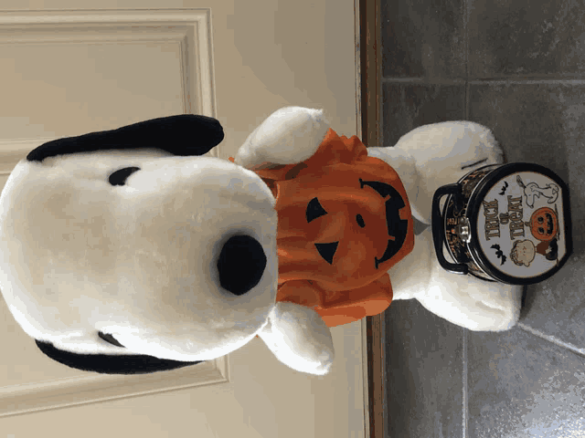 a stuffed snoopy wearing a pumpkin costume next to a trick or treat bag