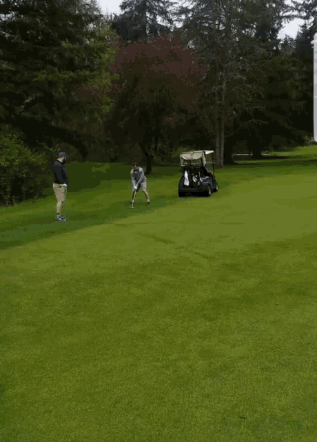 Golfer Fail GIF - Golfer Fail Failure GIFs