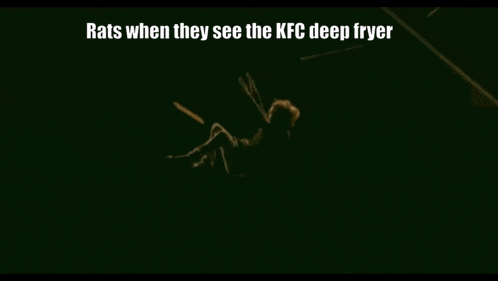 a person is holding a box that says rats when they see the kfc deep fryer on it