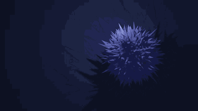 a dark blue background with a few white lines on it