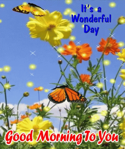Good Morning Wonderful Day GIF - Good Morning Wonderful Day Flowers GIFs