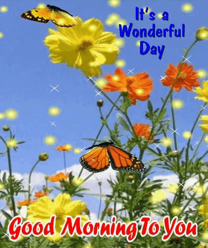 a butterfly is flying over a field of yellow and orange flowers with the words " it 's a wonderful day "