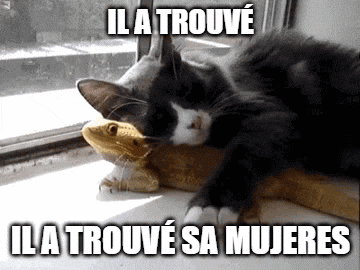 a cat laying on top of a lizard with the caption ila trouve