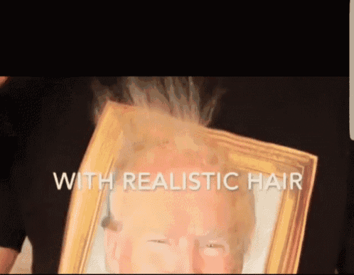 Trump Frame GIF - Trump Frame Hair GIFs