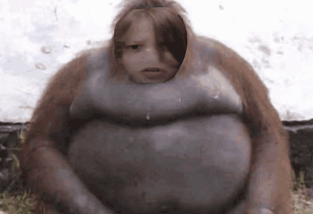 a monkey with a woman 's face cut out of it 's belly .