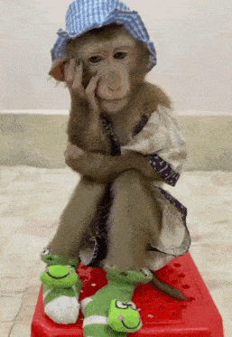 Stuckslxteen Monkey GIF - Stuckslxteen Monkey Baby Monkey GIFs