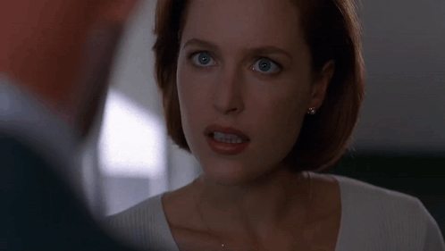Are You Afraid Of That The Xfiles GIF - Are You Afraid Of That The Xfiles Gillian Anderson GIFs