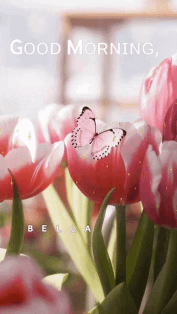 a pink butterfly is sitting on a pink flower with the words " good morning " below it