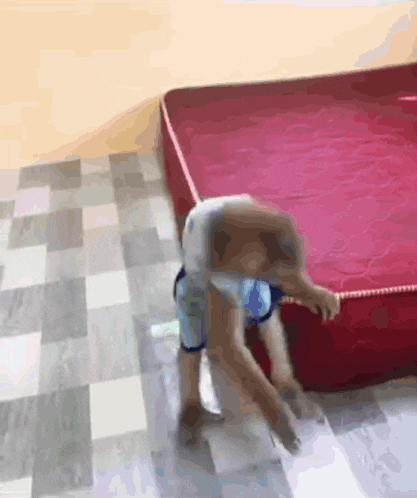 a dog is standing on a red mattress on a checkered floor