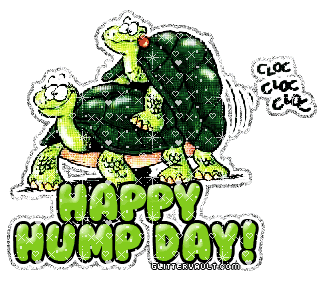 Happy Hump Day GIF - Turtles Humpday Wednesday GIFs